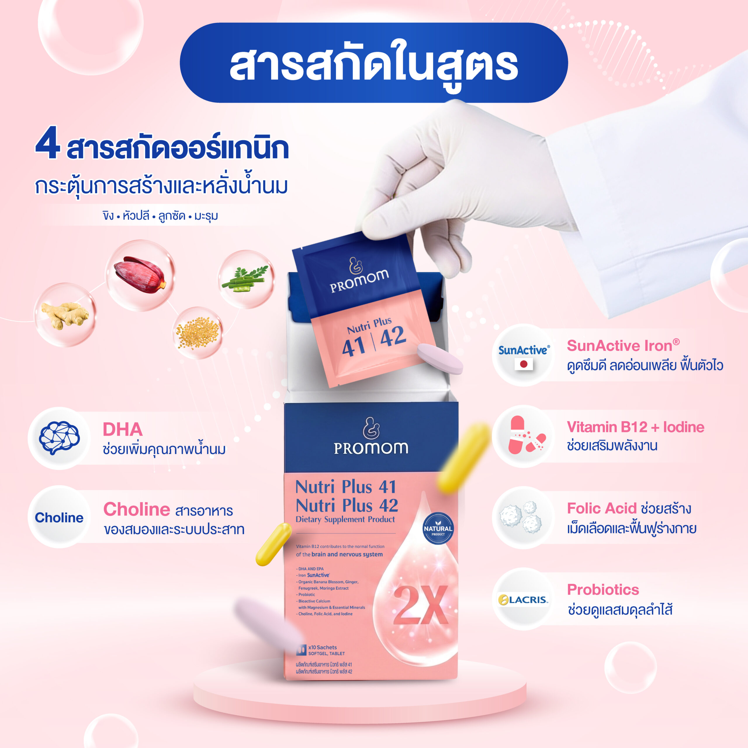 สารสกัดและสารอาหารในสูตร Nutri Plus 41|42