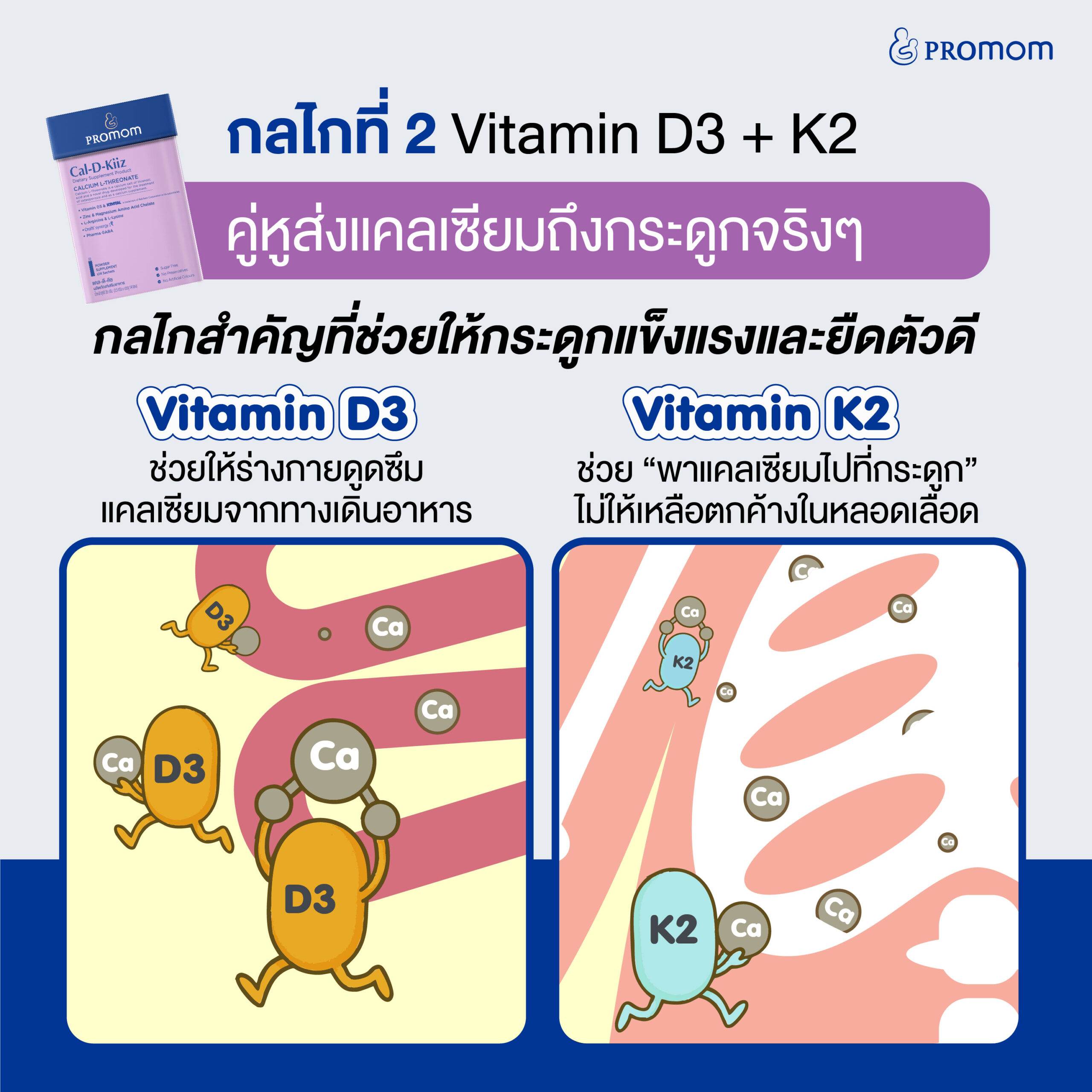 Cal-D-KII 6+ และ Cal-D-Kiiz ดูแลความสูงในทุกวันด้วย 3 กลไกสำคัญ