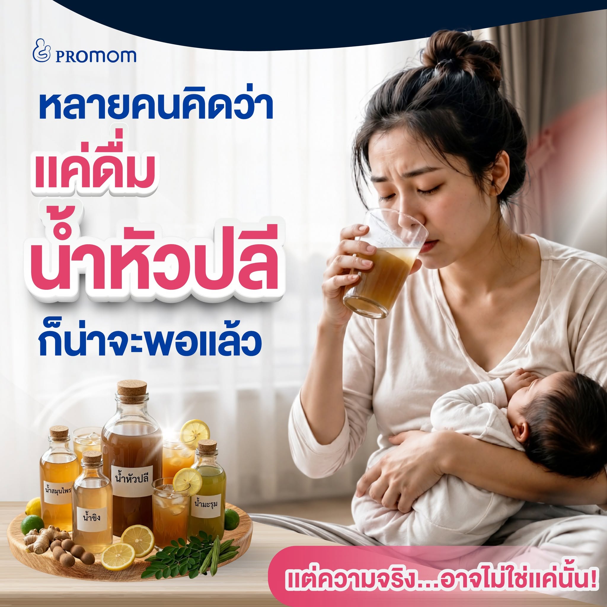 Nutri Plus 41&42 2 Nutri Plus 41&42 - Image 2