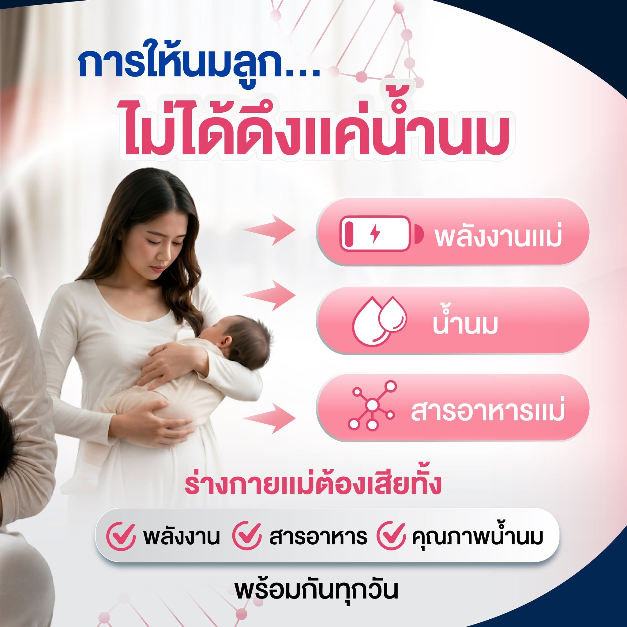 Nutri Plus 41&42 3 Nutri Plus 41&42 - Image 3