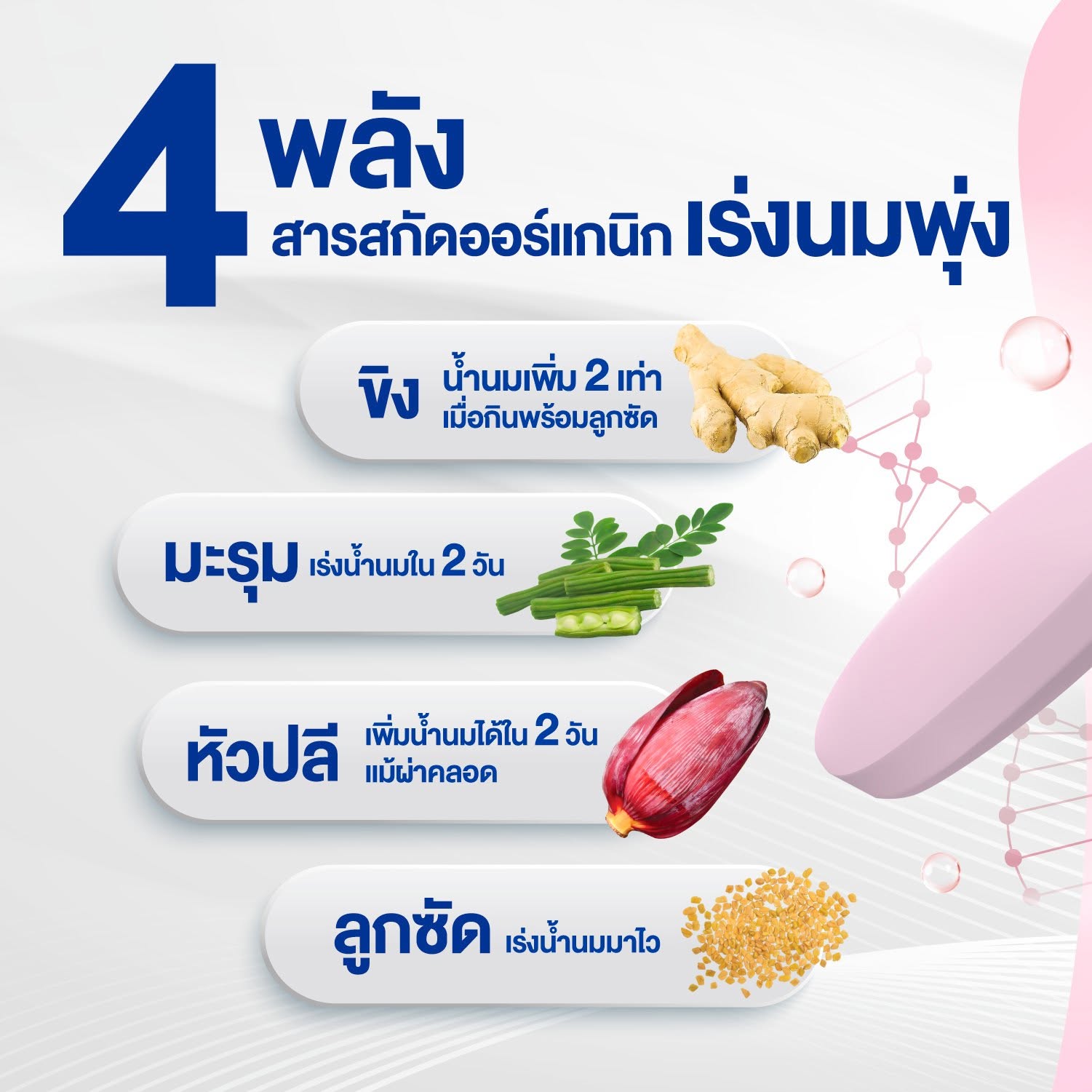 Nutri Plus 41&42 11 Nutri Plus 41&42 - Image 11